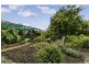 33 Daly Street, Kurralta Park SA 5037