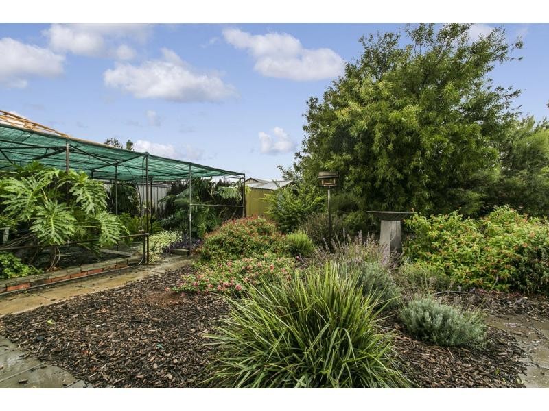 33 Daly Street, Kurralta Park SA 5037
