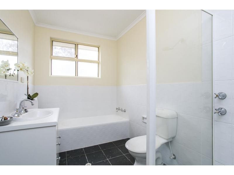 7/149 Anzac Highway, Kurralta Park SA 5037