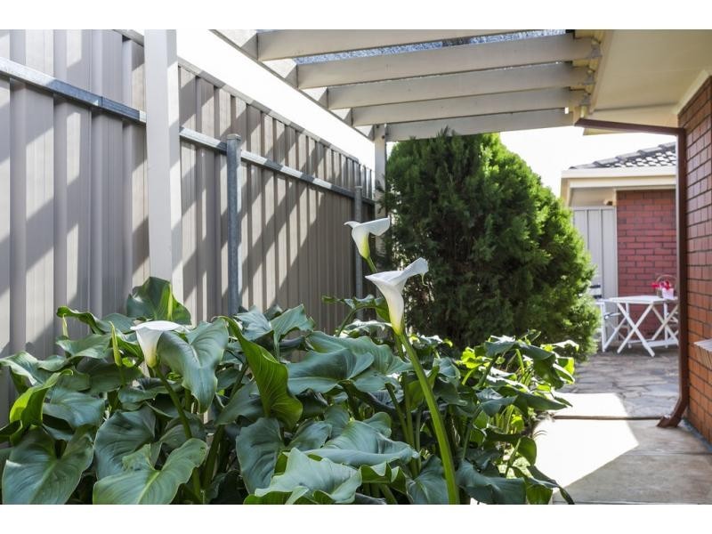 3/5 Marleston Avenue, Ashford SA 5035