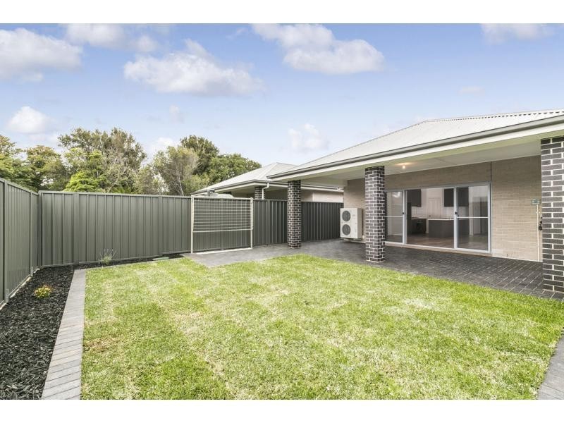 19 Cedar Avenue, Warradale SA 5046