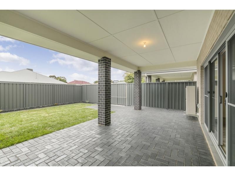 19 Cedar Avenue, Warradale SA 5046