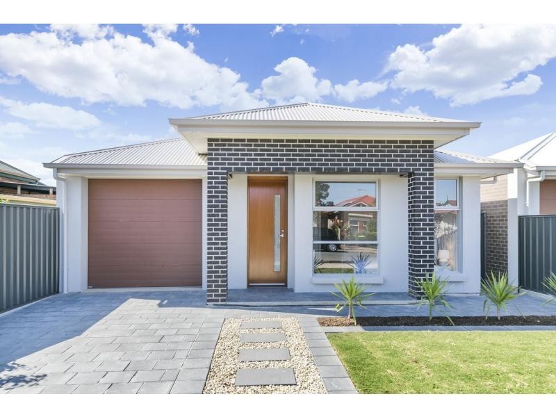 77 Jervois Street, South Plympton SA 5038
