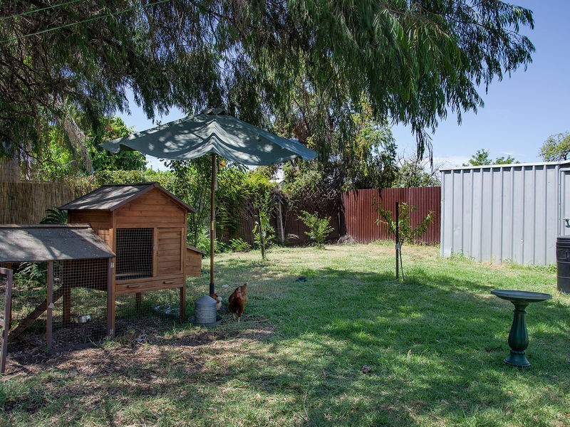 62 Dingera Avenue, North Plympton SA 5037