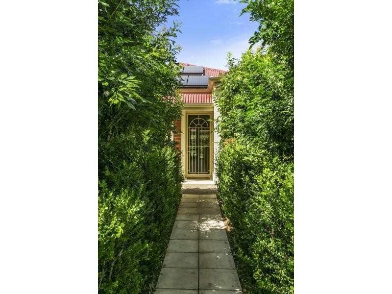 34 Broughton Avenue, Kurralta Park SA 5037