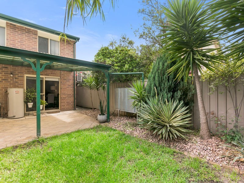 3/38 Mortimer Street, Kurralta Park SA 5037