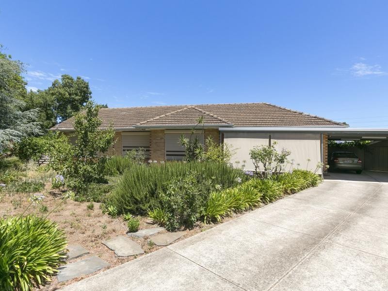 44 Gray Street, Plympton SA 5038