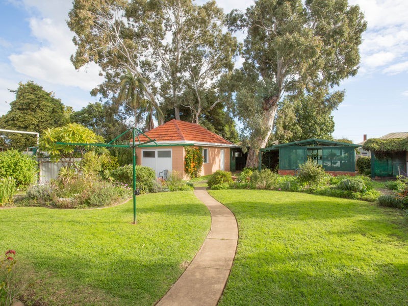 16 Daly Street, Kurralta Park SA 5037