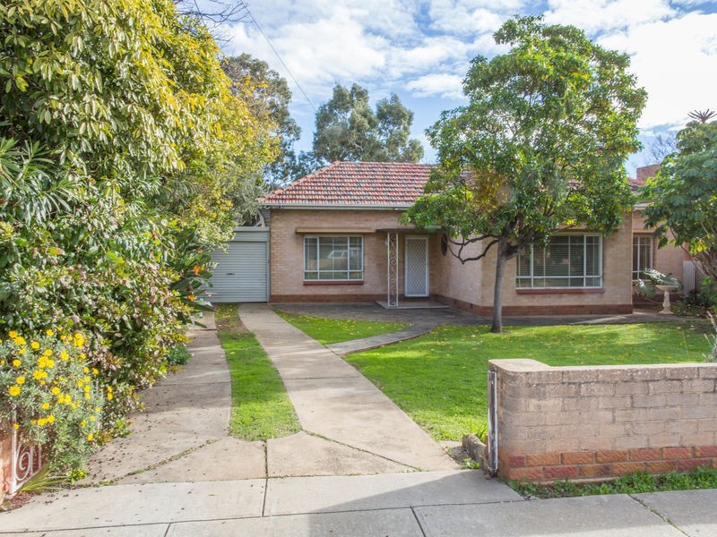 16 Daly Street, Kurralta Park SA 5037