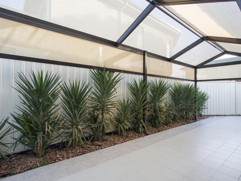 8 Gordon Street, Kurralta Park SA 5037