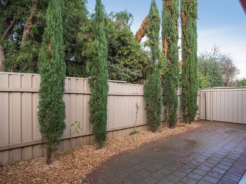 2/146. Raglan Avenue, South Plympton SA 5038