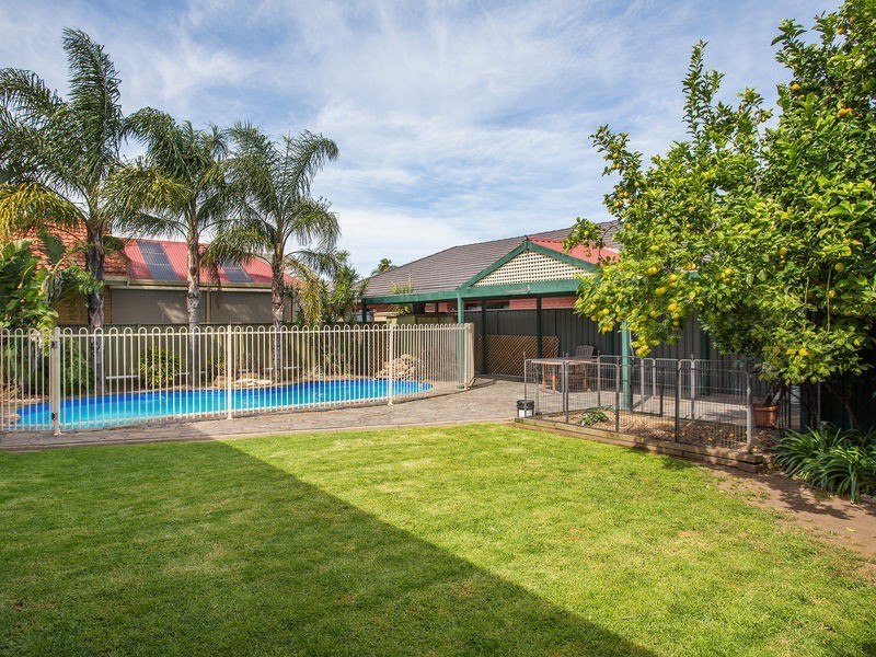 50 Wood Street, Kurralta Park SA 5037