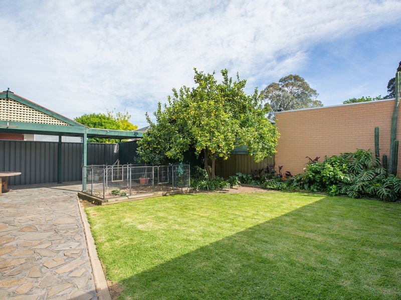 50 Wood Street, Kurralta Park SA 5037