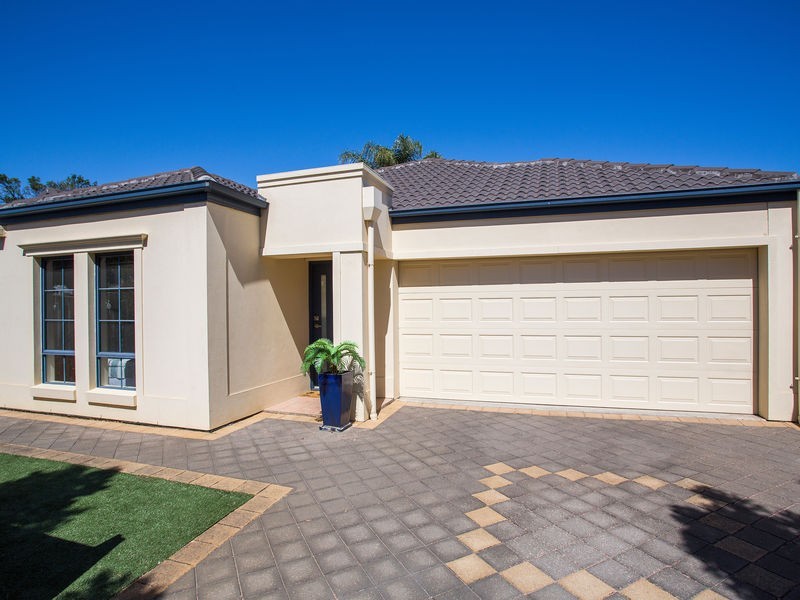 36 Selby Street, Kurralta Park SA 5037