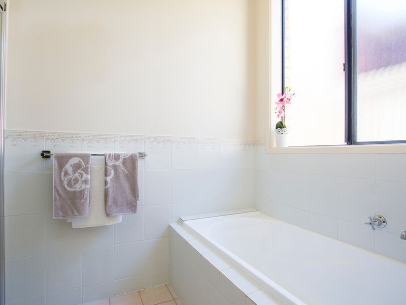 36 Selby Street, Kurralta Park SA 5037