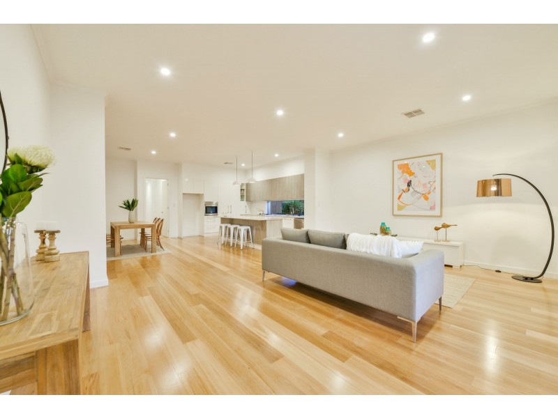 14A Swinburne Avenue, Plympton Park SA 5038