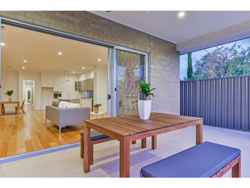 14A Swinburne Avenue, Plympton Park SA 5038