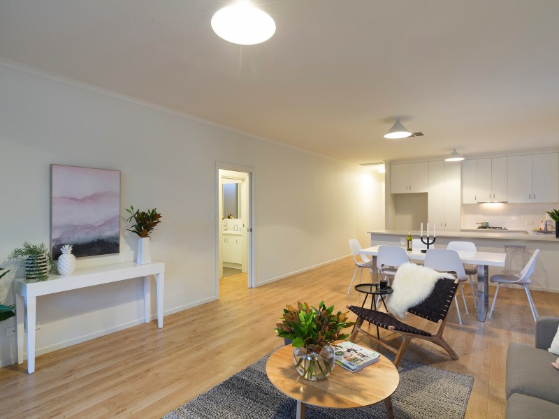 17 Basnett St, Kurralta Park SA 5037