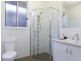 17 Basnett St, Kurralta Park SA 5037