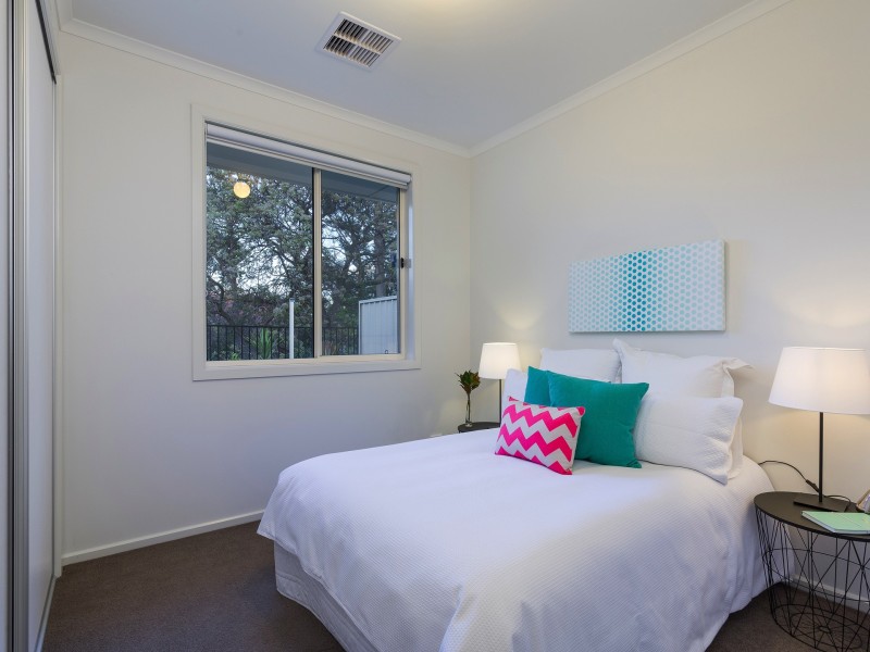 17 Basnett St, Kurralta Park SA 5037