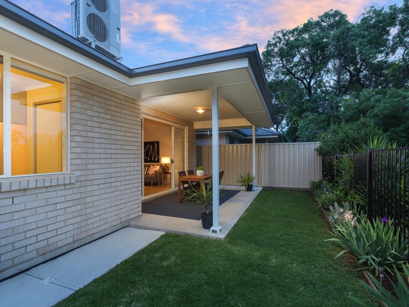 17 Basnett St, Kurralta Park SA 5037