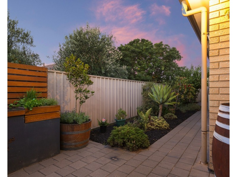 5/16 Golfers Ave, Seaton SA 5023