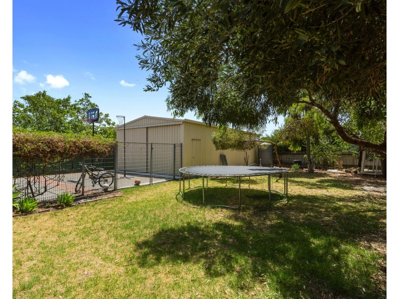 7 Murdoch Ave, North Plympton SA 5037