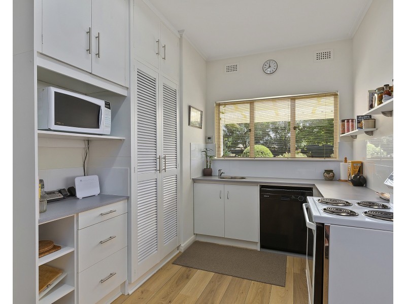 49 Wood St, South Plympton SA 5038