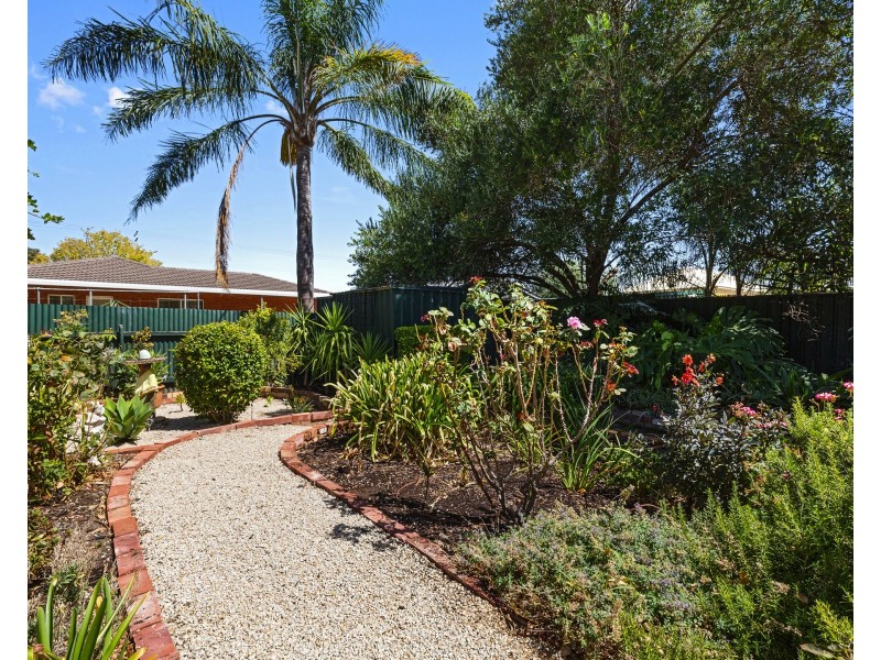 49 Wood St, South Plympton SA 5038