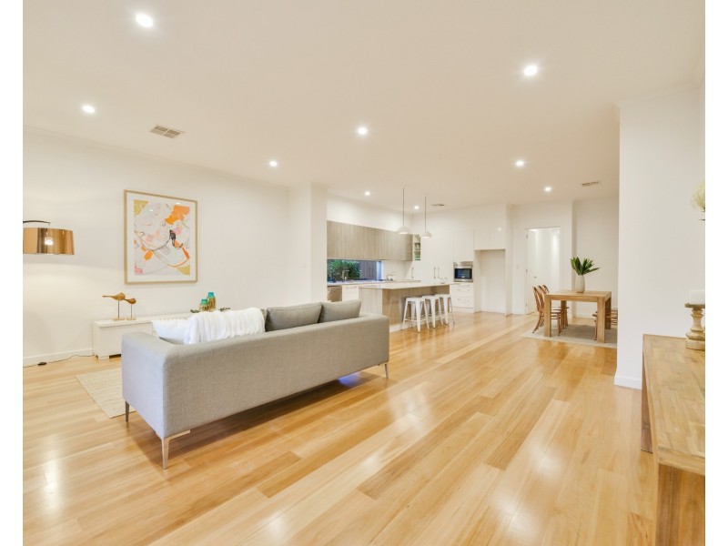 14 Swinburne Ave, Plympton Park SA 5038