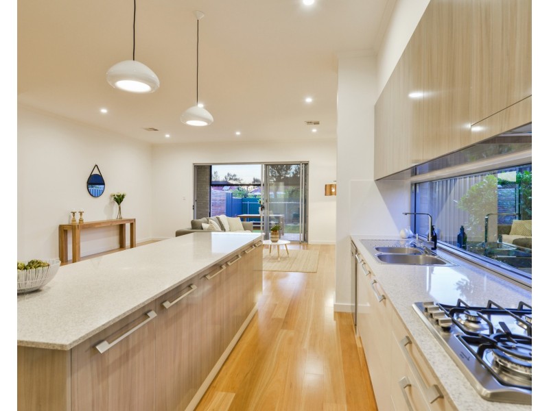 14 Swinburne Ave, Plympton Park SA 5038