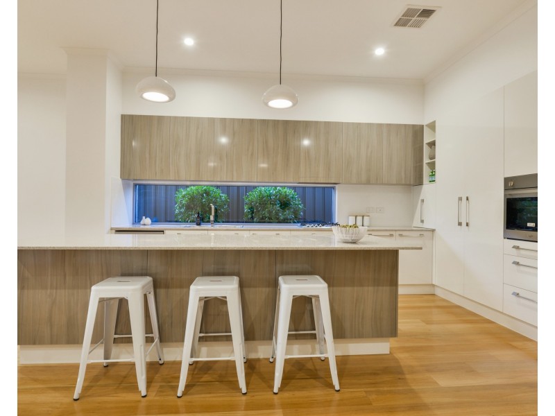 14 Swinburne Ave, Plympton Park SA 5038