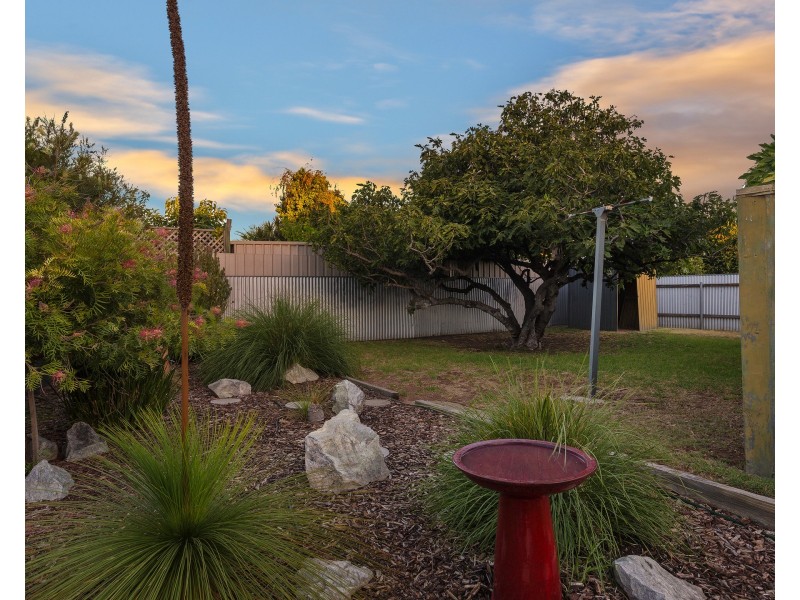 38 Rowells Rd, Lockleys SA 5032