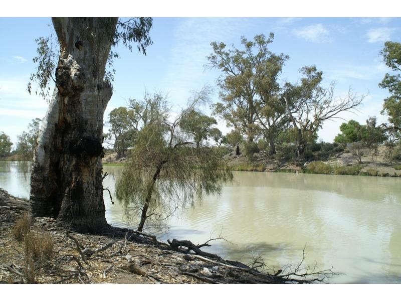 62B Cudmore Road, Pomona, Wentworth NSW 2648