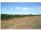 L3 Main Avenue South, Merbein VIC 3505