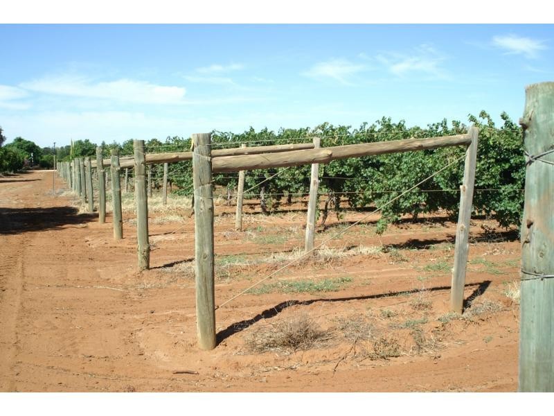 L3 Main Avenue South, Merbein VIC 3505