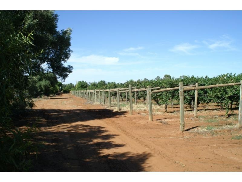 L3 Main Avenue South, Merbein VIC 3505