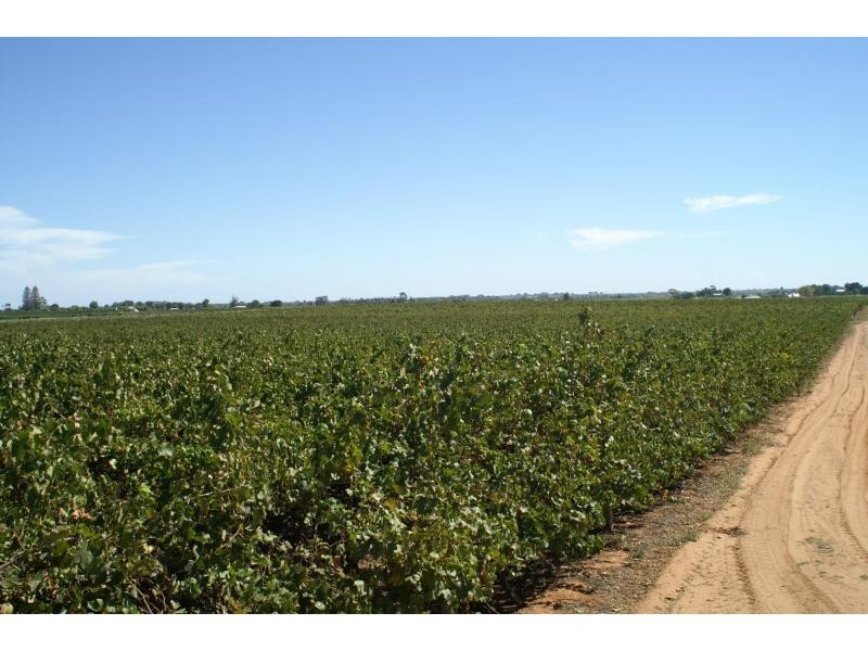 390 Fifth Street, Merbein VIC 3505