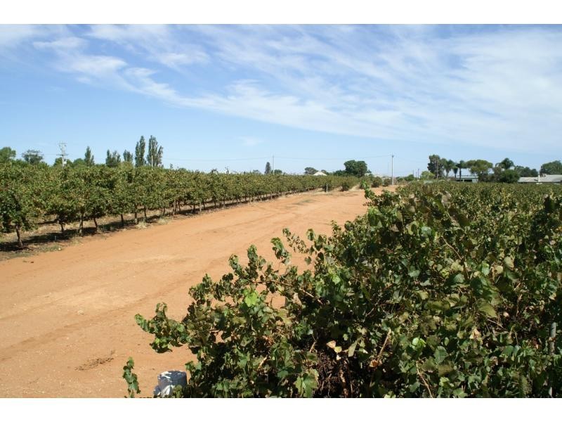 390 Fifth Street, Merbein VIC 3505