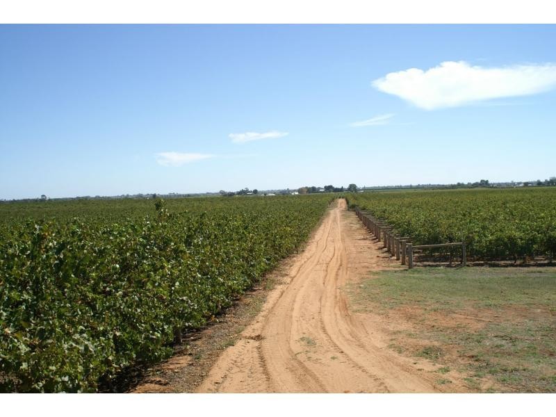 390 Fifth Street, Merbein VIC 3505