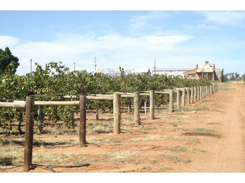 390 Fifth Street, Merbein VIC 3505