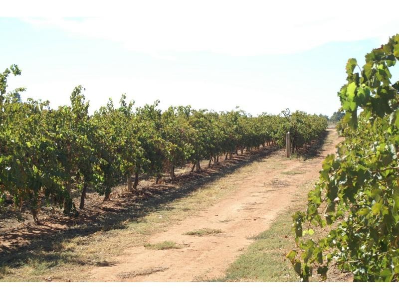 390 Fifth Street, Merbein VIC 3505