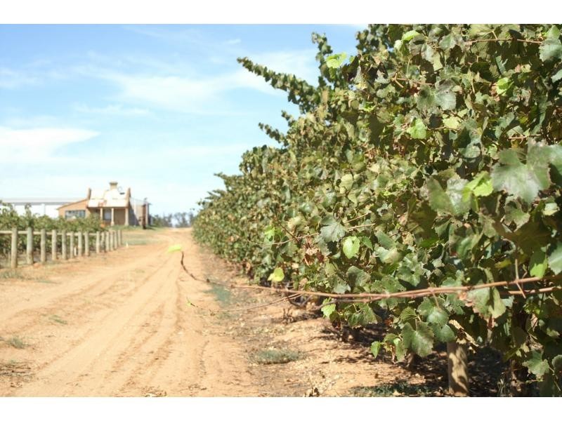 390 Fifth Street, Merbein VIC 3505