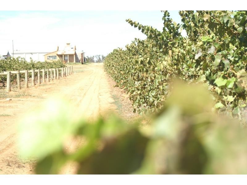 390 Fifth Street, Merbein VIC 3505