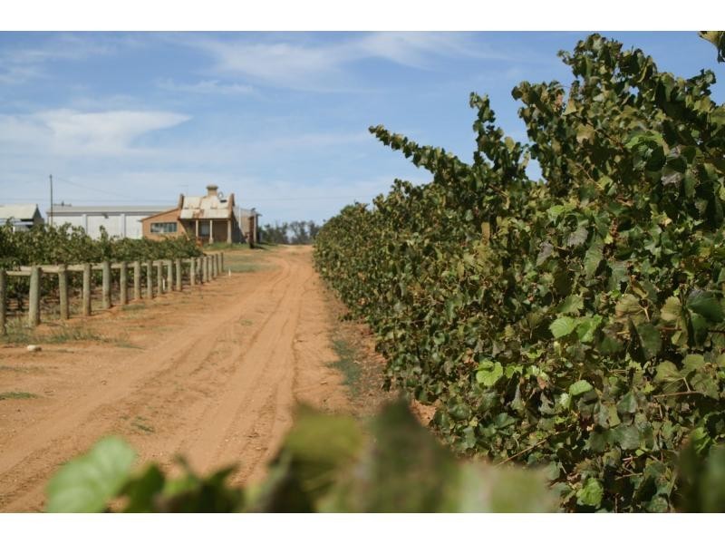 390 Fifth Street, Merbein VIC 3505