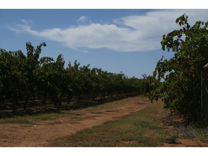 390 Fifth Street, Merbein VIC 3505