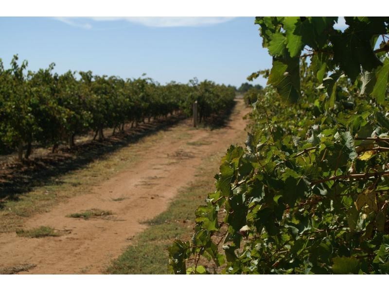 390 Fifth Street, Merbein VIC 3505