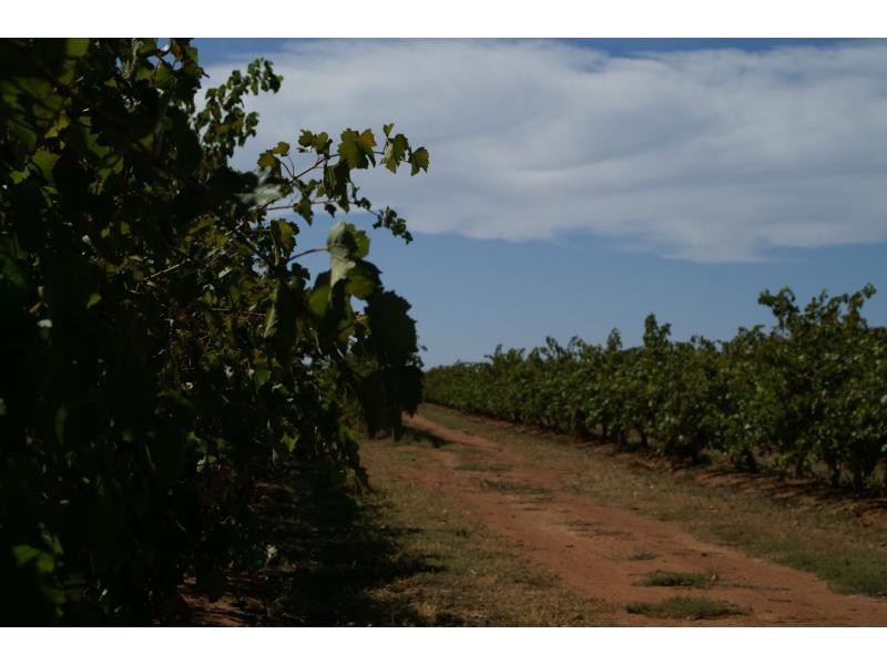 390 Fifth Street, Merbein VIC 3505