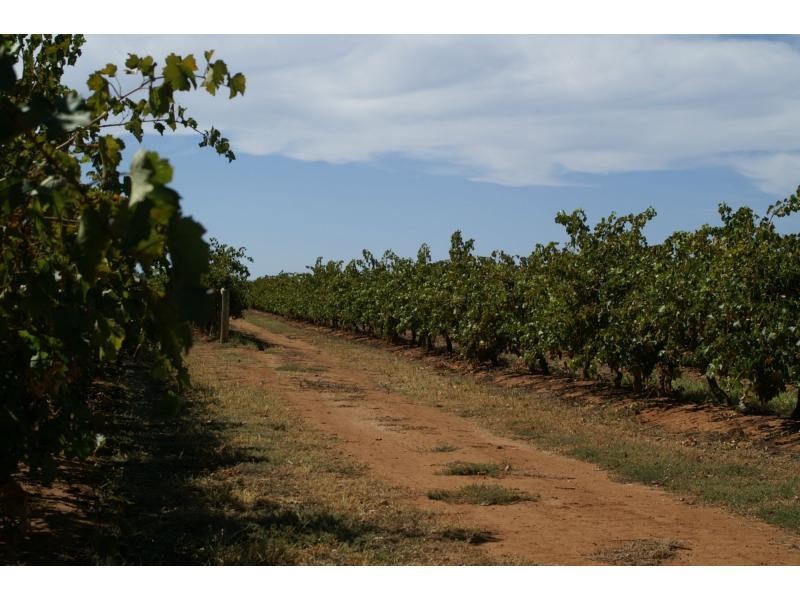 390 Fifth Street, Merbein VIC 3505