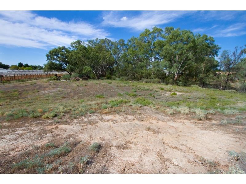 45-47 Wentworth Street, Wentworth NSW 2648